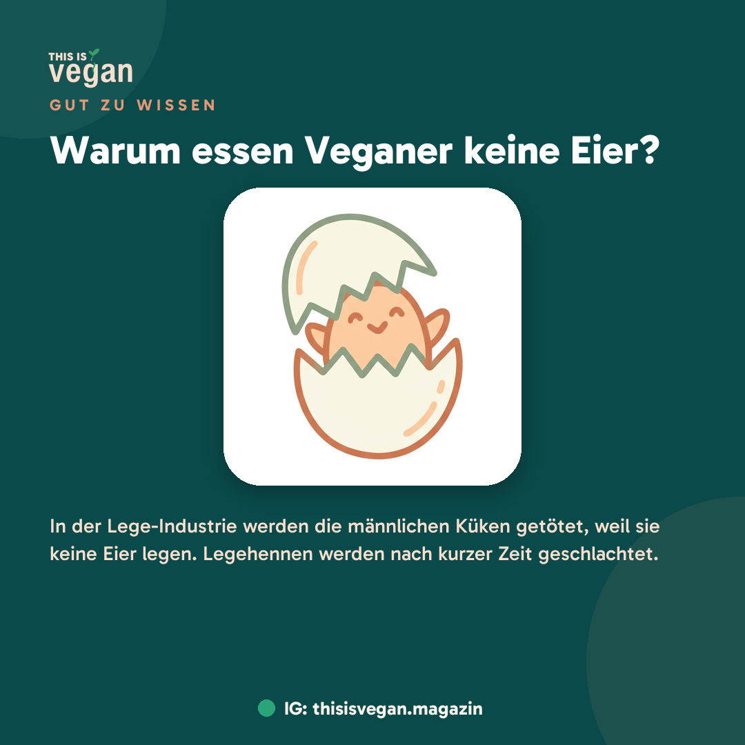 Warum essen Veganer keine Eier?, Infografik von This Is Vegan