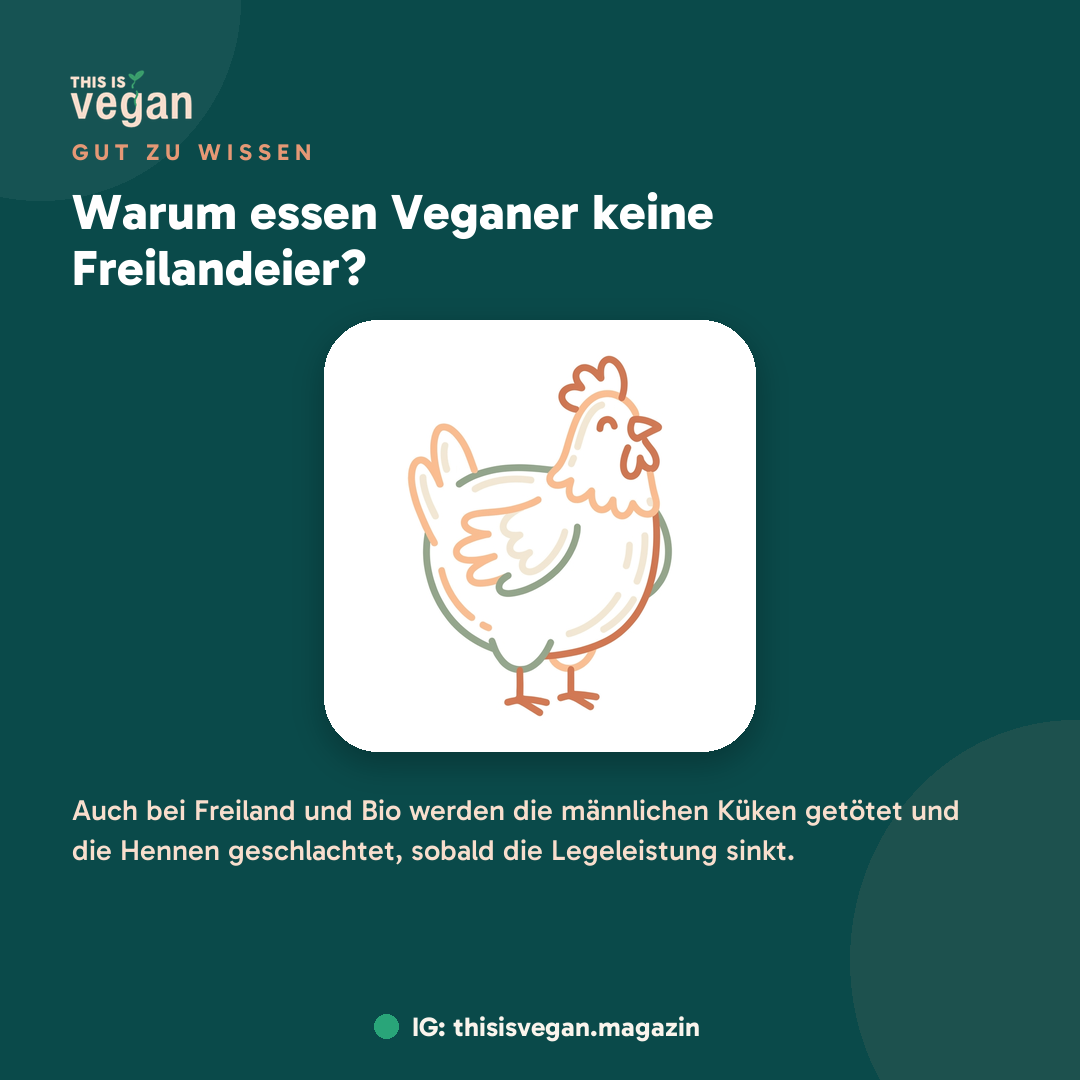 Warum essen Veganer keine Freilandeier?, Infografik von This Is Vegan