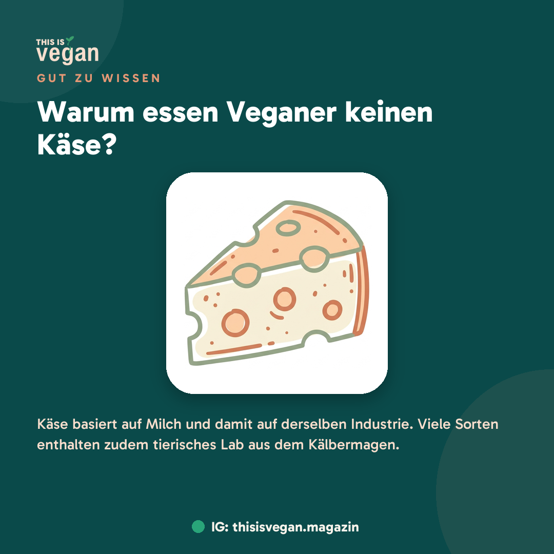 Warum essen Veganer keinen Käse?, Infografik von This Is Vegan