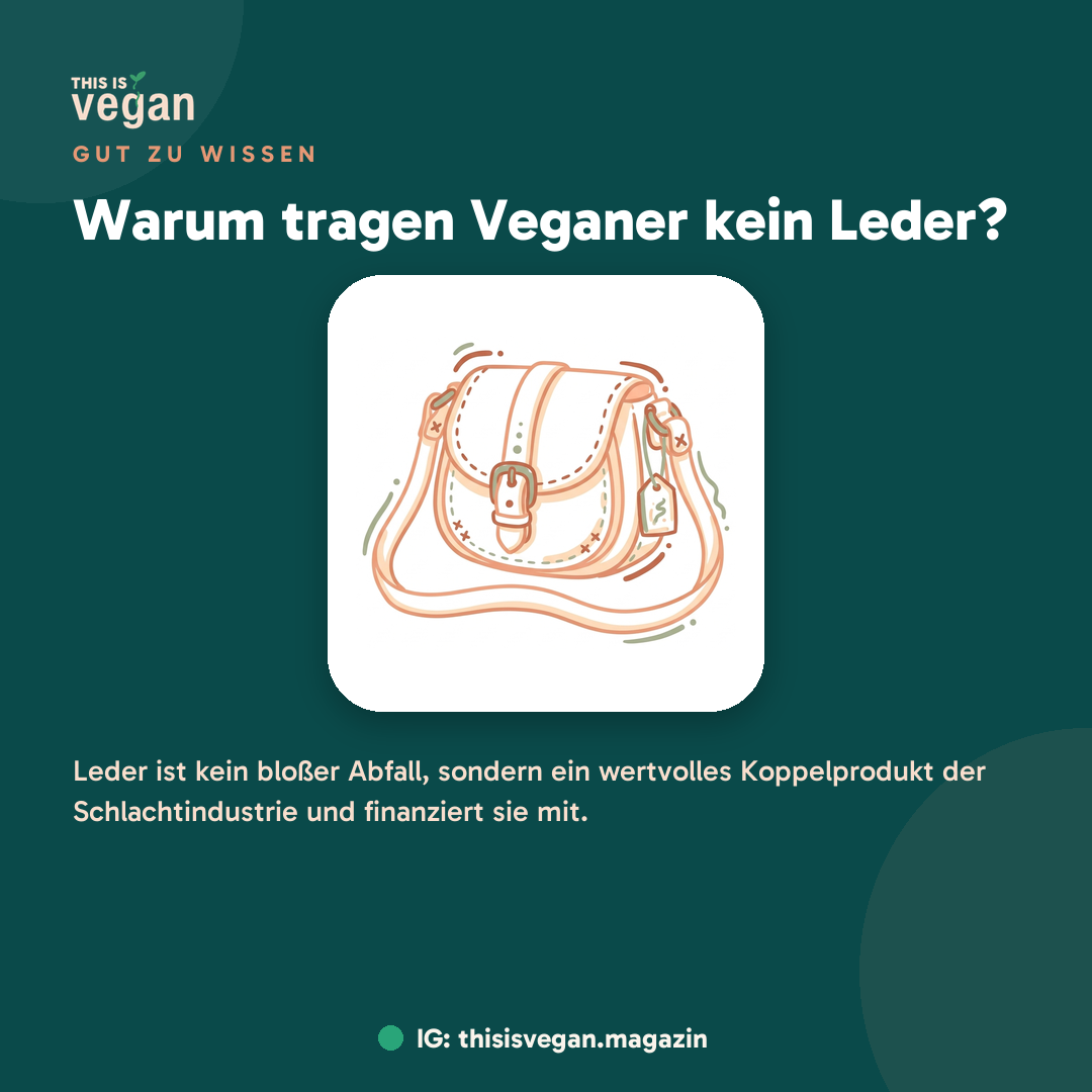 Warum tragen Veganer kein Leder?, Infografik von This Is Vegan