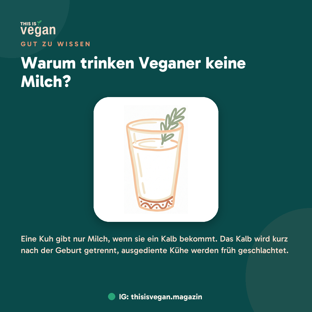 Warum trinken Veganer keine Milch?, Infografik von This Is Vegan